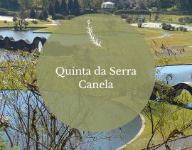 Quinta da Serra - Canela