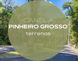 Terrenos à venda no Pinheiro Grosso em Canela