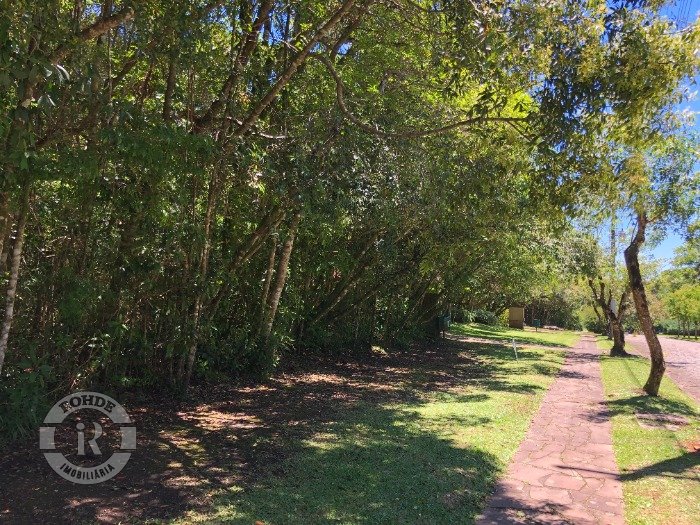 TERRENO NO LAJE DE PEDRA EM CANELA