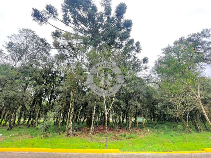 TERRENO CANELA